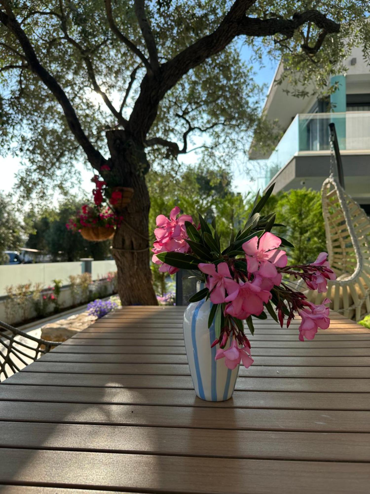 Danielli Luxury Villas Skala Rachoni  المظهر الخارجي الصورة