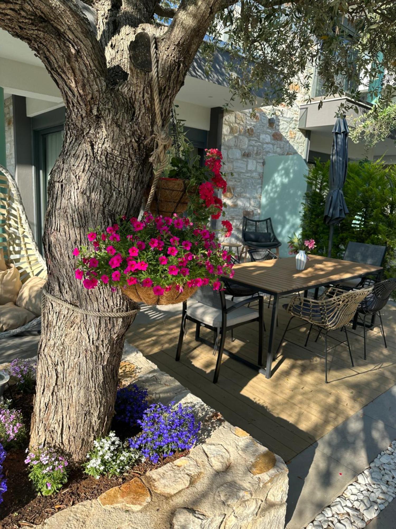 Danielli Luxury Villas Skala Rachoni  المظهر الخارجي الصورة