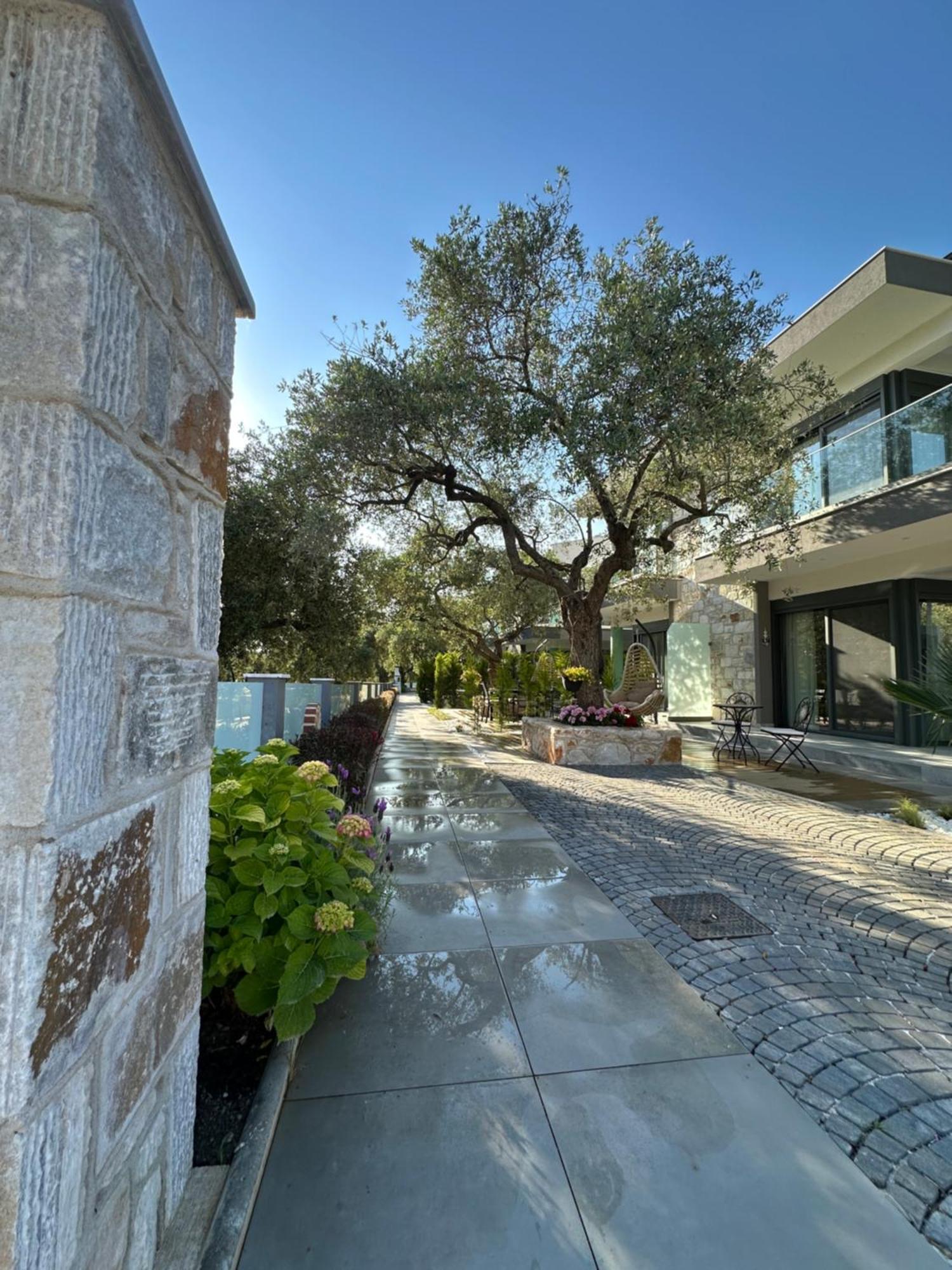 Danielli Luxury Villas Skala Rachoni  المظهر الخارجي الصورة